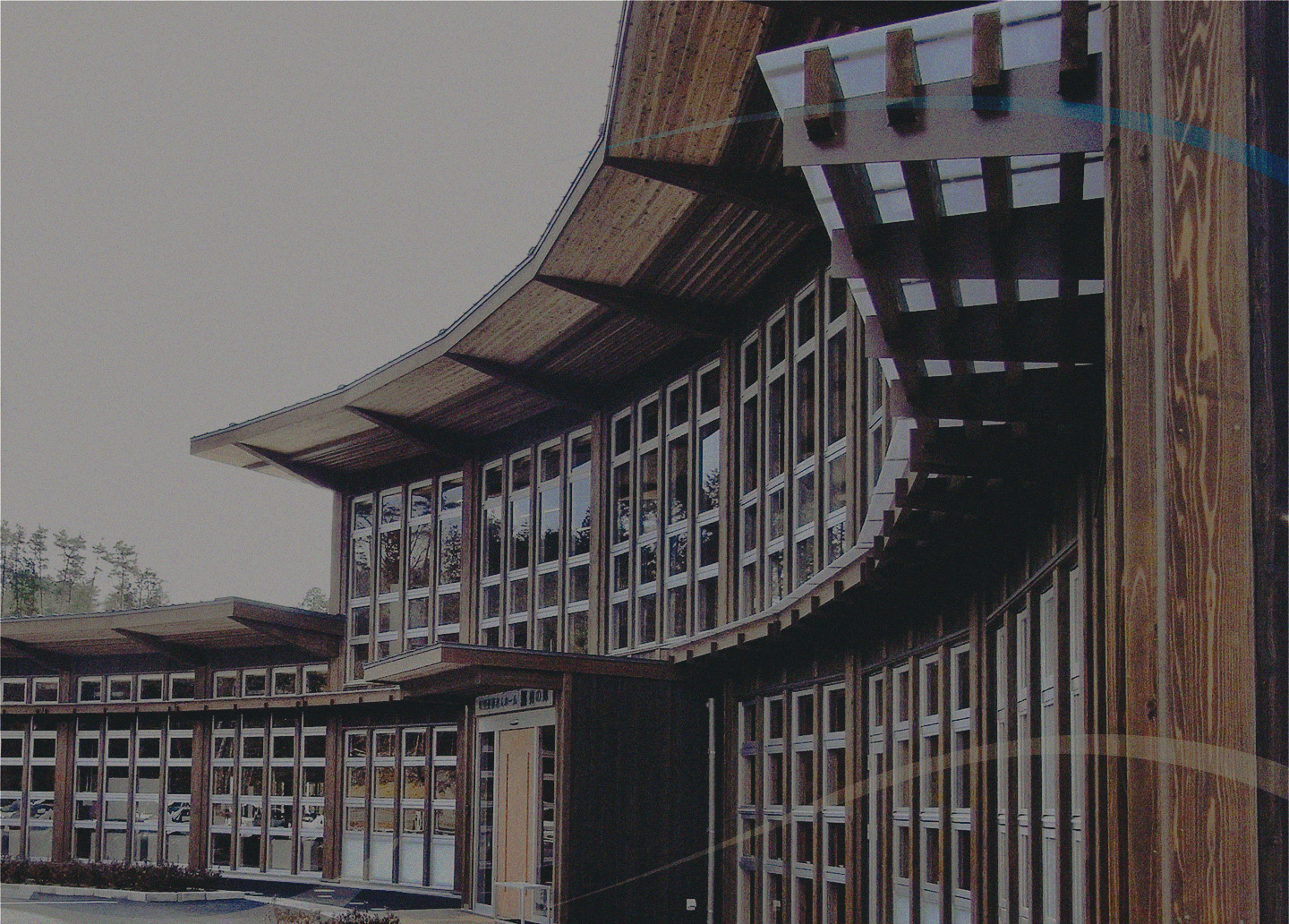 樹の郷